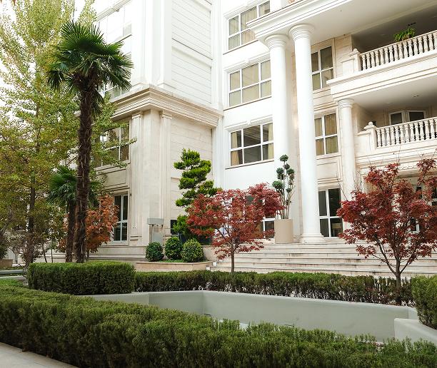 picture of trees in front of a white building